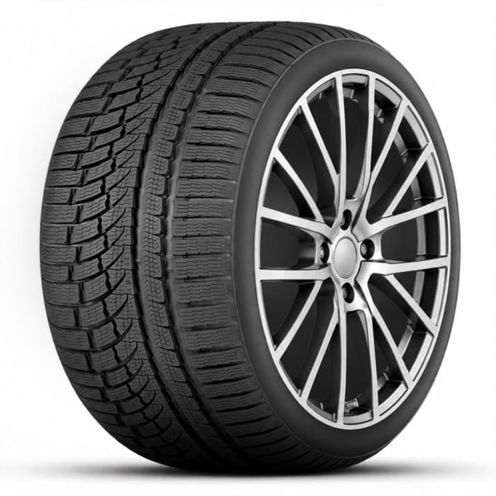 NOKIAN WR 295/30 R19