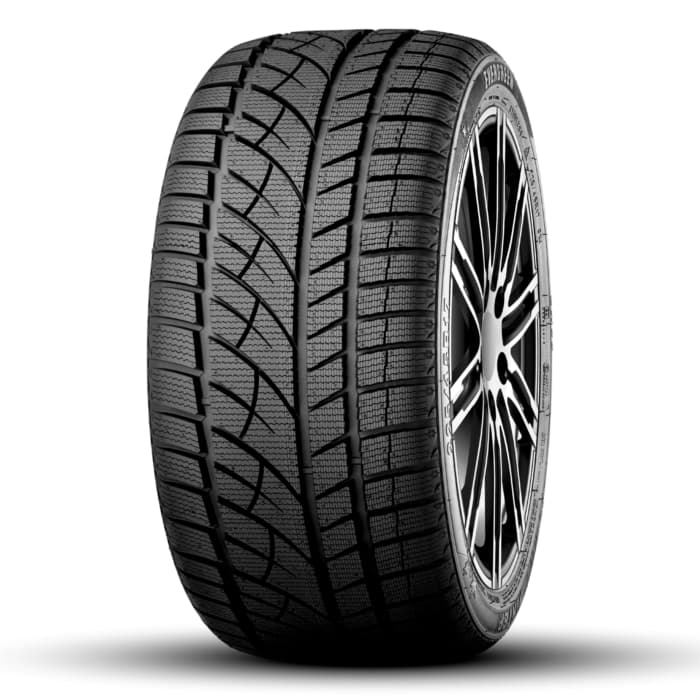 EVERGREEN WINTER EW66 245/40 R19
