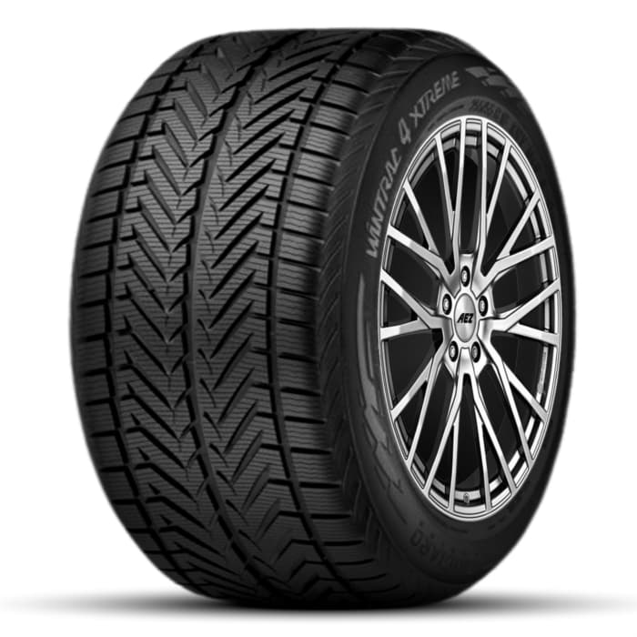 VREDESTEIN WINTRAC 205/60 R16
