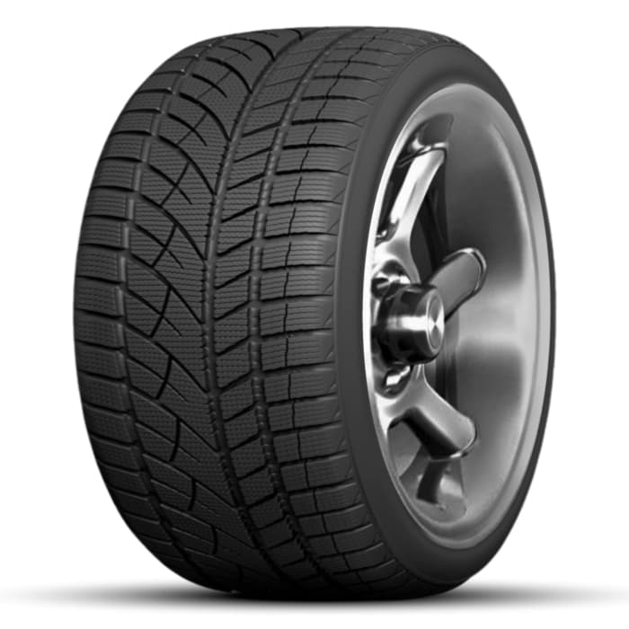 EVERGREEN EW 66 WINTER 225/65 R17